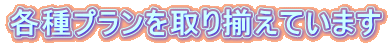 各種プランを取り揃えています 